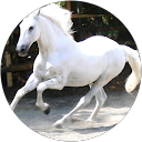 abdul mujahed profile picture